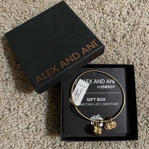 Alex and Ani “gift box” bracelet